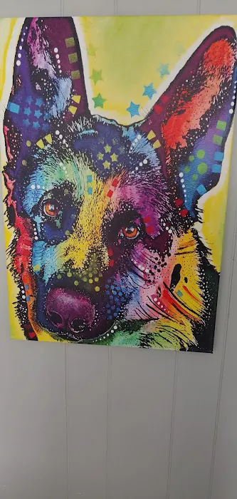 Pet Wellness Veterinary Center Picture 2