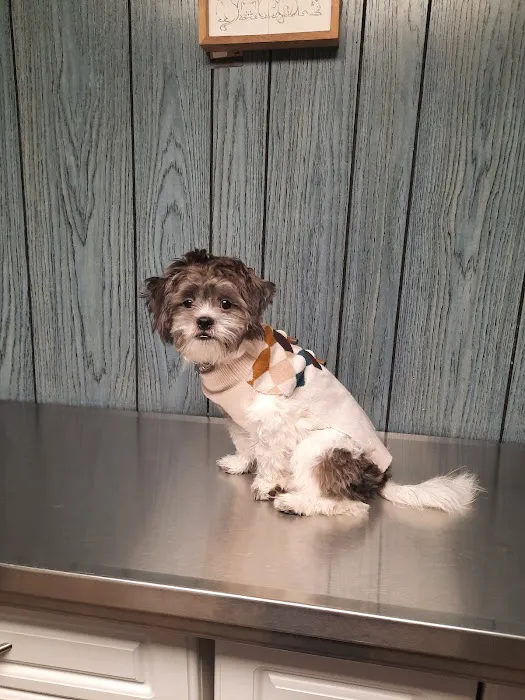 Pet Wellness Veterinary Center Picture 3