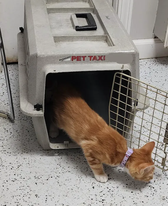 Harrison Veterinary Clinic Picture 4
