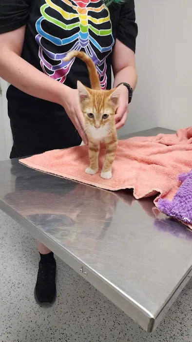 Harrison Veterinary Clinic Picture 3