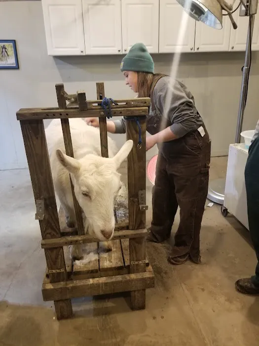 Harrison Veterinary Clinic Picture 7