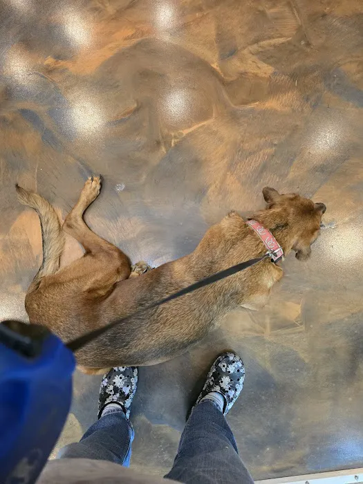 Licking Valley Veterinary Services Picture 3