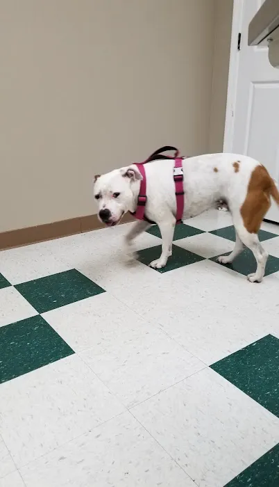 Countryside Animal Hospital Picture 9