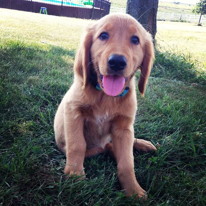 Montgomery Veterinary Clinic: Dr. John MacDonald Picture 1