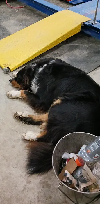 Mt Sterling Veterinary Hospital Picture 1