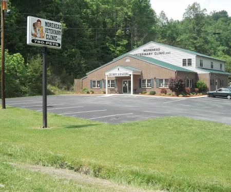 Morehead Veterinary Clinic