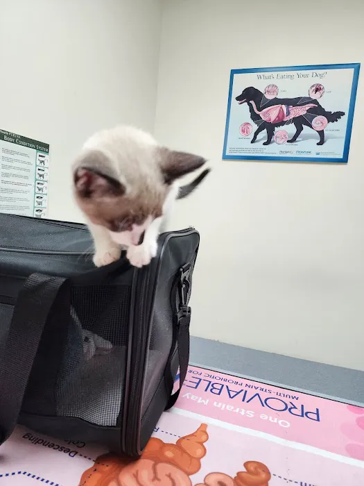 Morehead Veterinary Clinic Picture 9