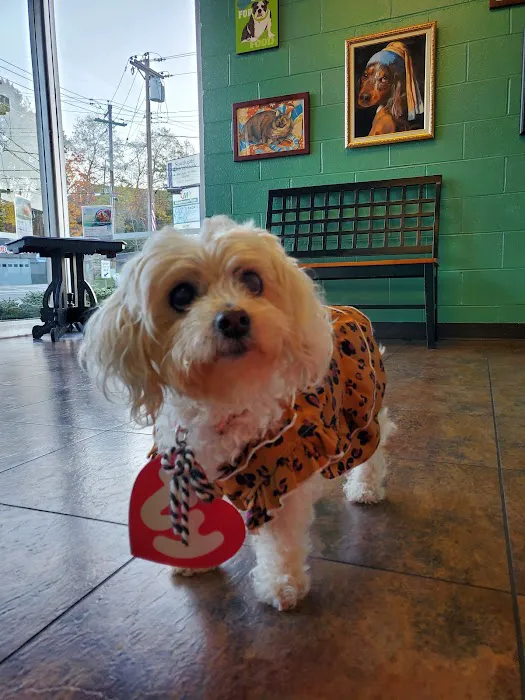 Alexandria Pike Animal Hospital PSC Picture 9