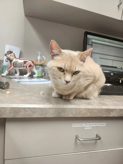 West Chester Veterinary Care (WCVC) Picture 5