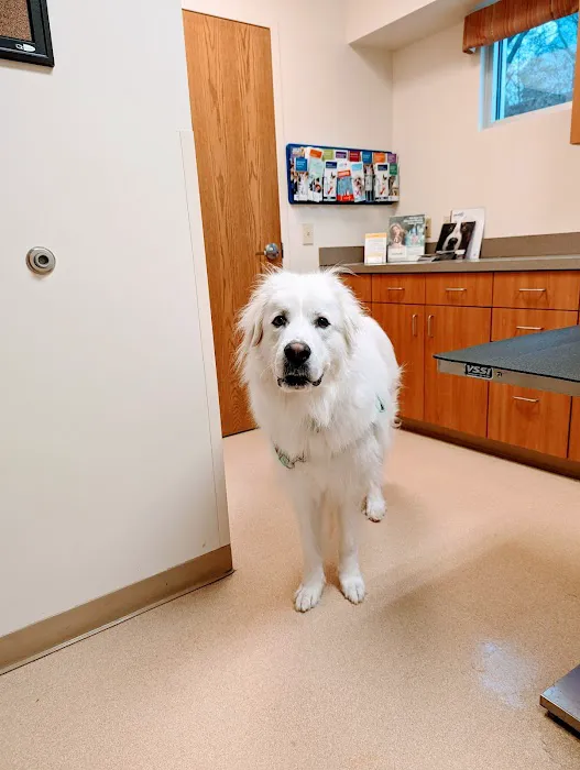 VCA Lakota Hills Animal Hospital Picture 6