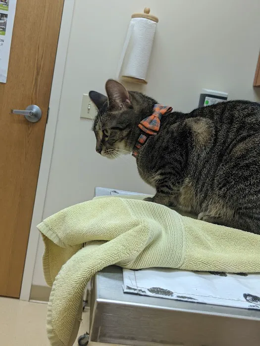 VCA Lakota Hills Animal Hospital Picture 8