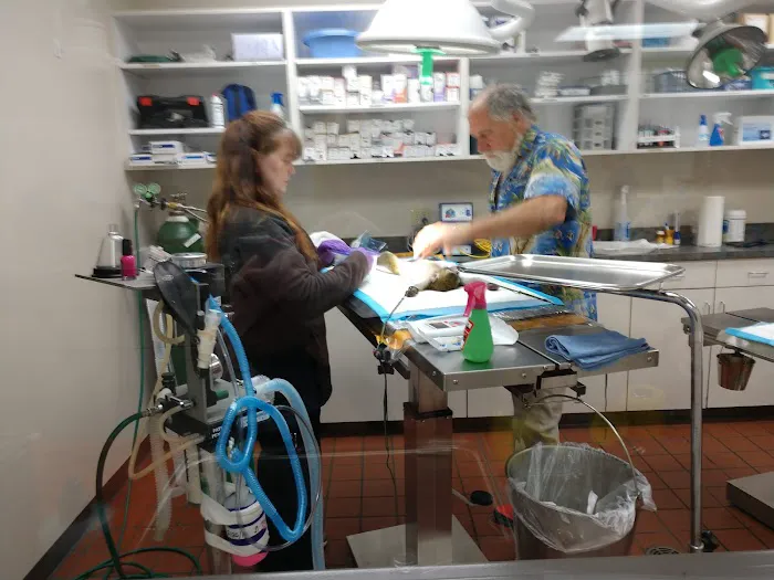 Stonyridge Veterinary Service, A Thrive Pet Healthcare Partner Picture 4