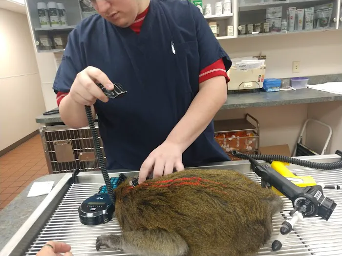 Stonyridge Veterinary Service, A Thrive Pet Healthcare Partner Picture 7