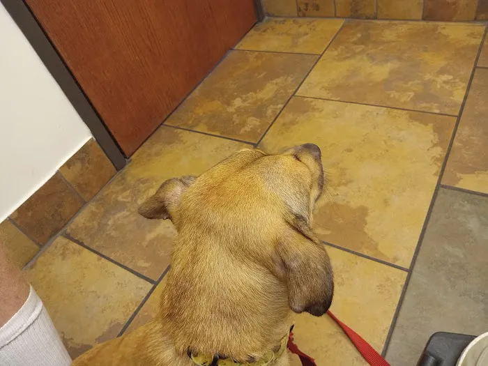 Community Veterinary Clinic Picture 5