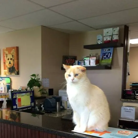 Miami Acres Animal Hospital Picture 1