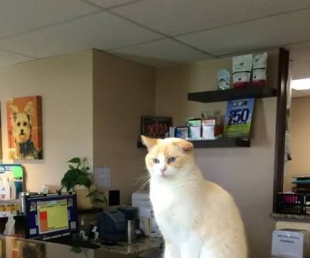 Miami Acres Animal Hospital