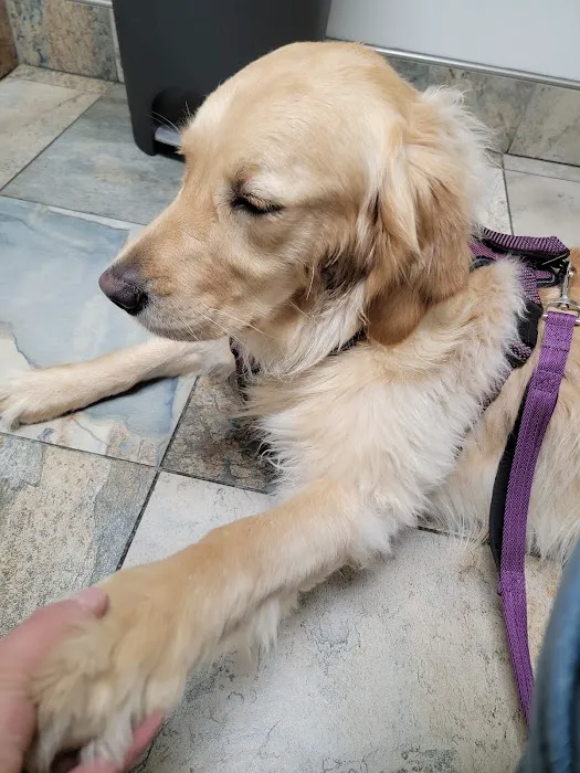 Troy Animal Hospital Picture 4