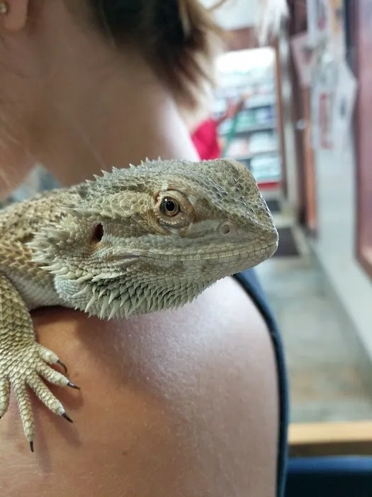 Troy Animal Hospital Picture 6