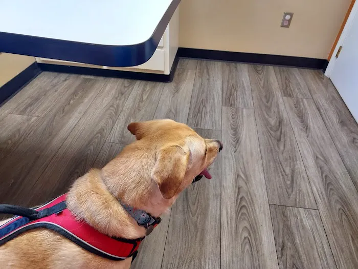 West Milton Veterinary Clinic Picture 4