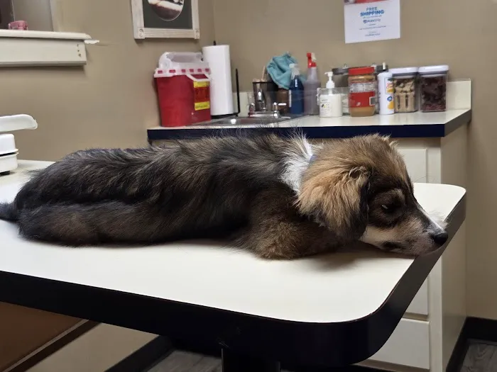 West Milton Veterinary Clinic Picture 8