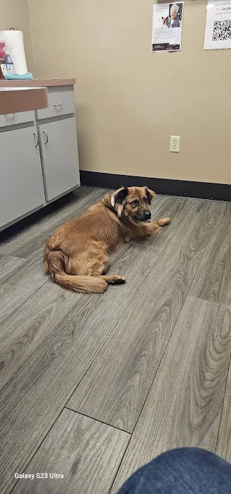 West Milton Veterinary Clinic Picture 9
