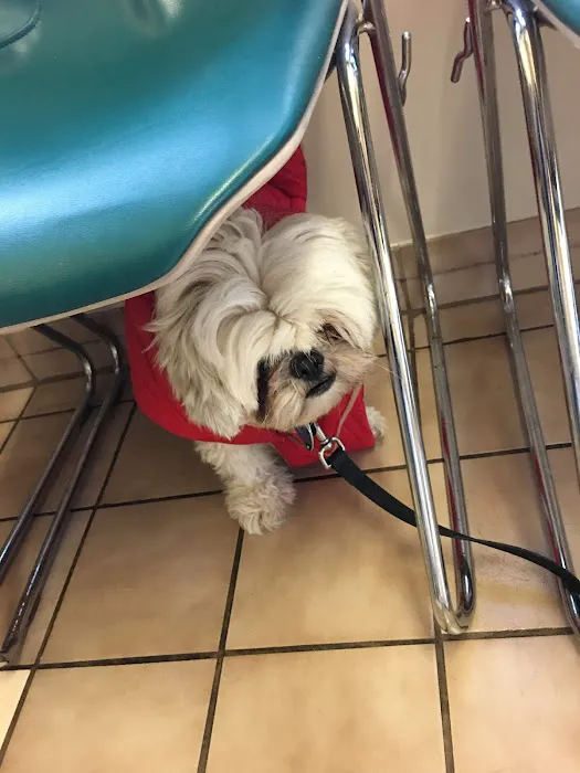Shiloh Animal Hospital Picture 1