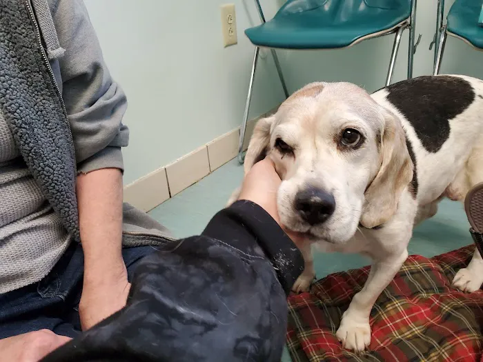 Shiloh Animal Hospital Picture 8