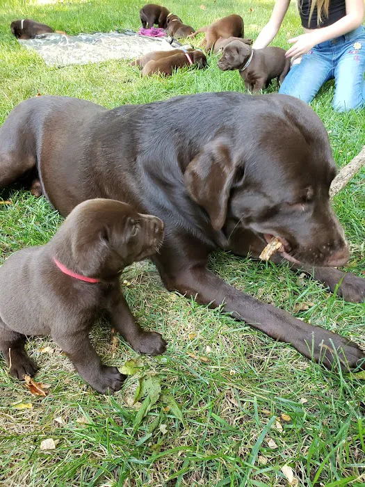 Shiloh Animal Hospital Picture 2