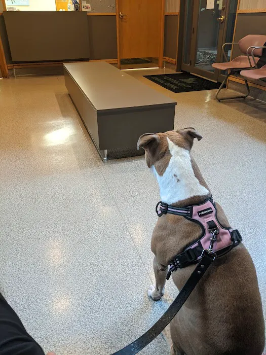 Northmont Animal Clinic Picture 1