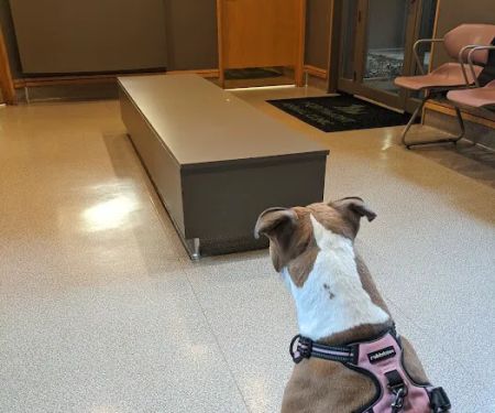 Northmont Animal Clinic