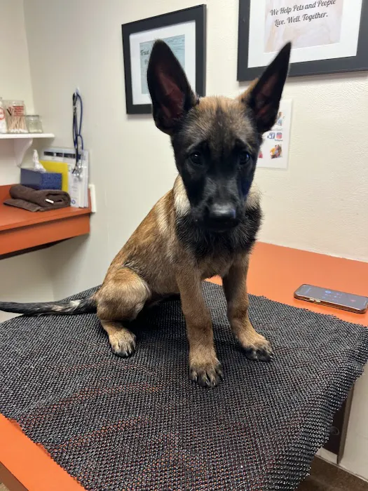 Community Veterinary Clinic Picture 4