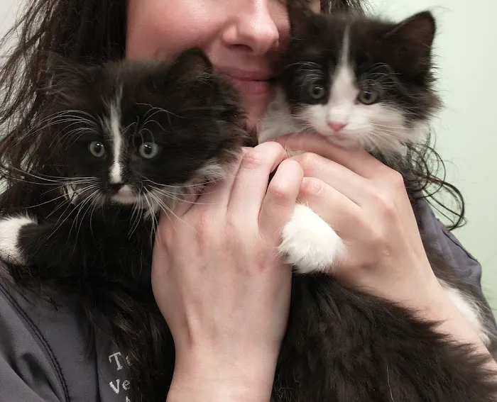 Green Valley Veterinary Care Picture 3