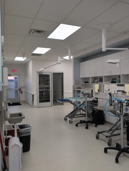 Green Valley Veterinary Care Picture 5