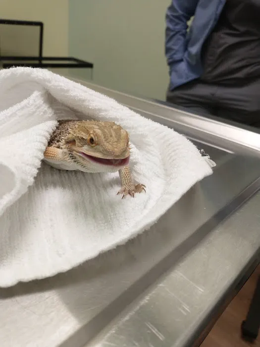 Green Valley Veterinary Care Picture 7