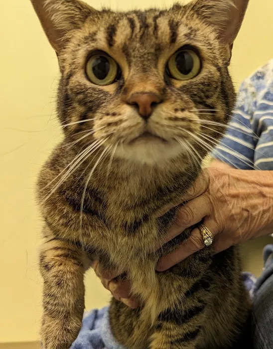 Green Valley Veterinary Care Picture 9