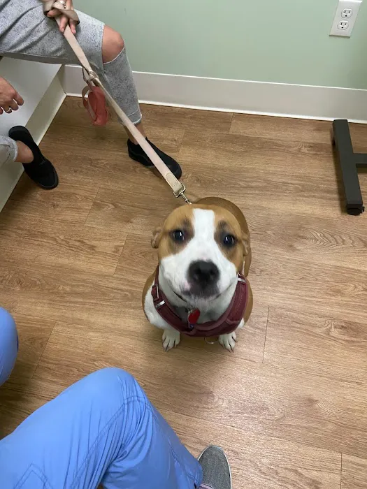 Green Valley Veterinary Care Picture 8