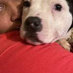Pawsitive Veterinary Hlthtr: Walker Amy E DVM
