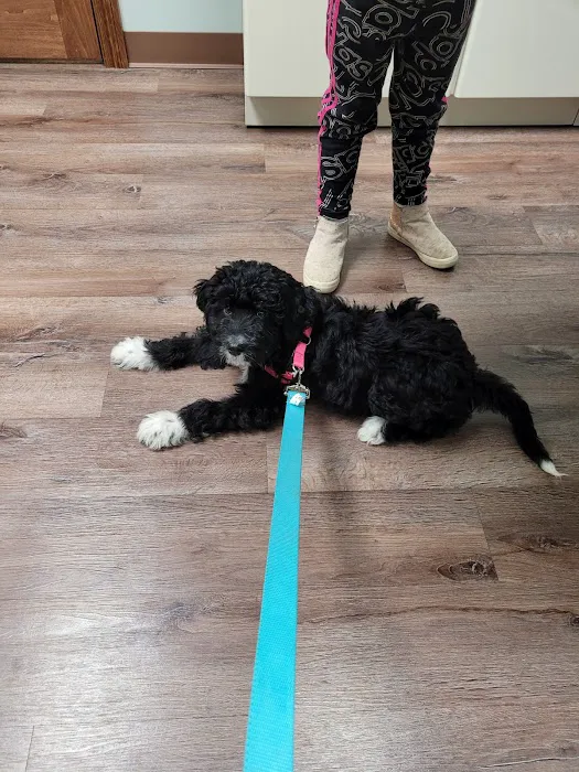 Tri-County Veterinary Services: Mack Andy DVM Picture 2