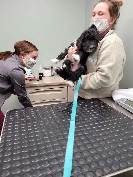 Tri-County Veterinary Services: Mack Andy DVM Picture 4