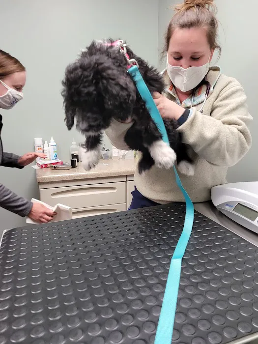 Tri-County Veterinary Services: Mack Andy DVM Picture 1