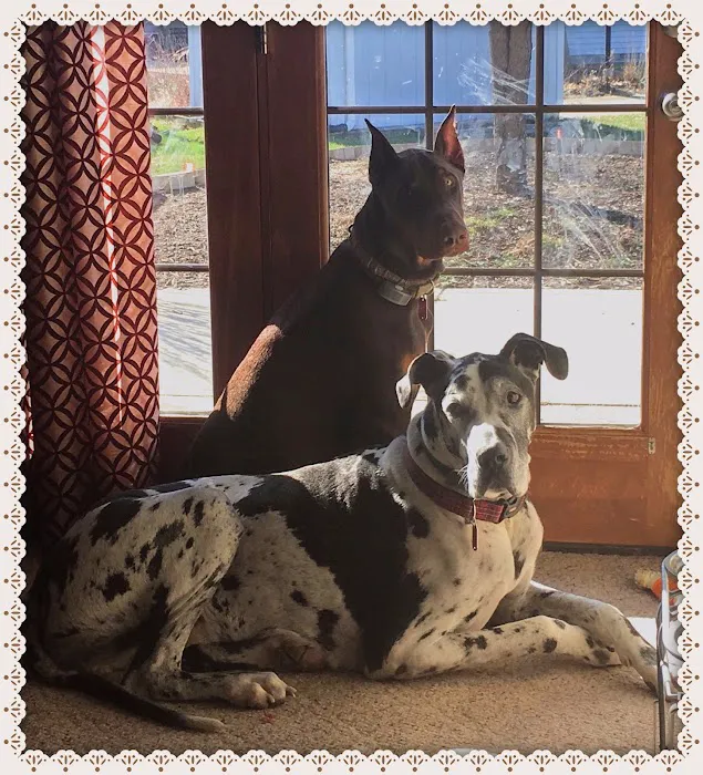 Tri-County Veterinary Service Picture 1