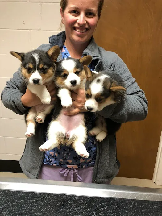 Tri-County Veterinary Service Picture 3