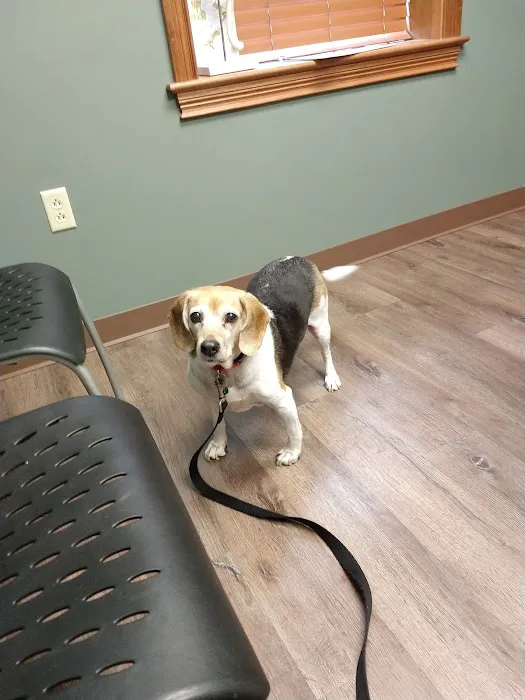 Tri-County Veterinary Service Picture 5