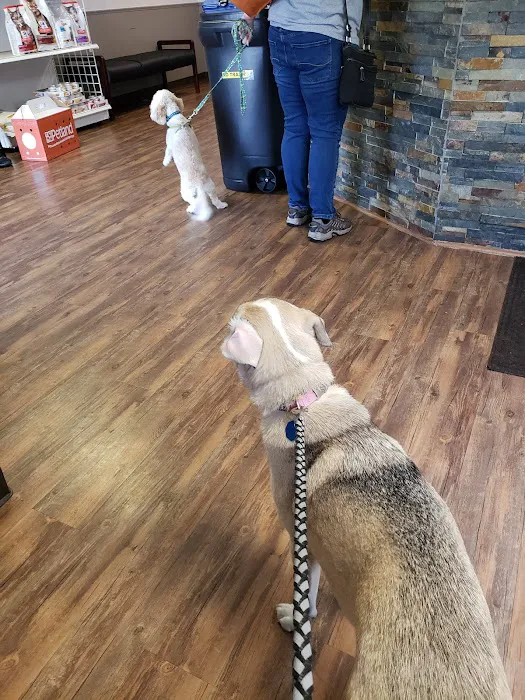 Printz Veterinary Services Picture 1