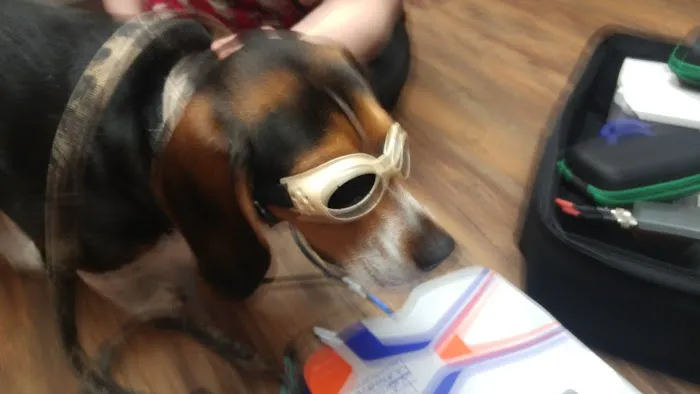 Printz Veterinary Services Picture 9