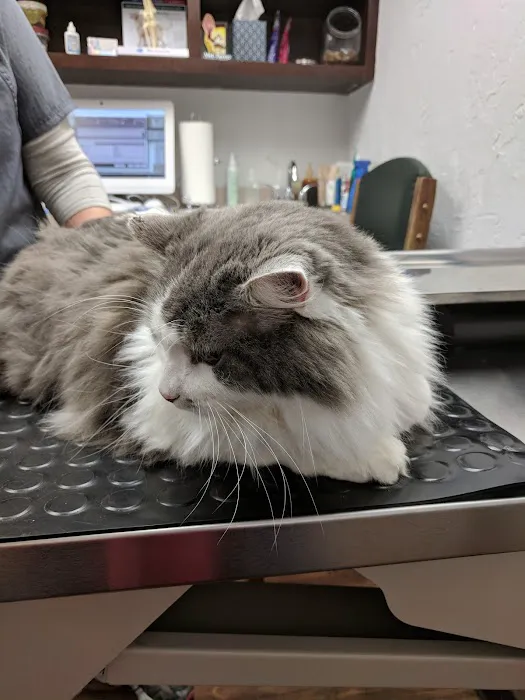 Printz Veterinary Services Picture 10