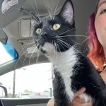 The Economic Veterinary Initiative (EVI spay/neuter clinic)