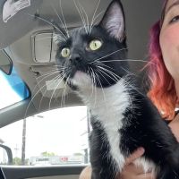 The Economic Veterinary Initiative (EVI spay/neuter clinic) ico