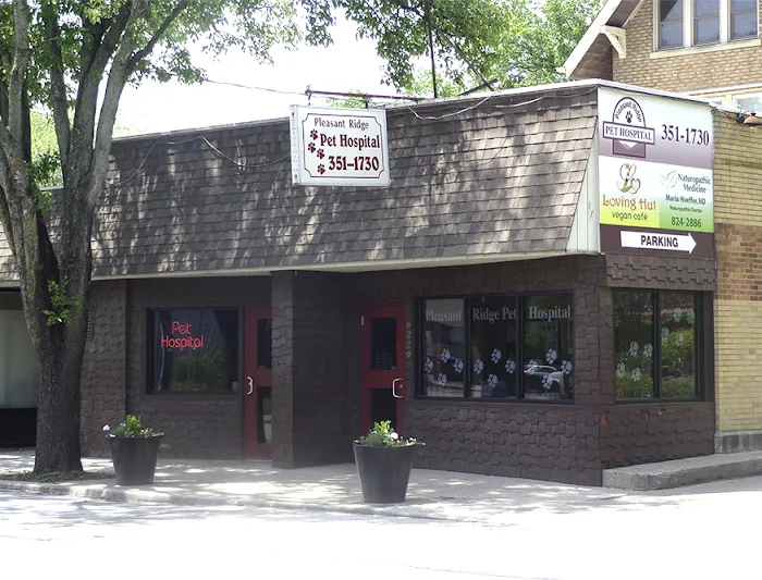 Pleasant Ridge Cat Care Clinic Picture 8