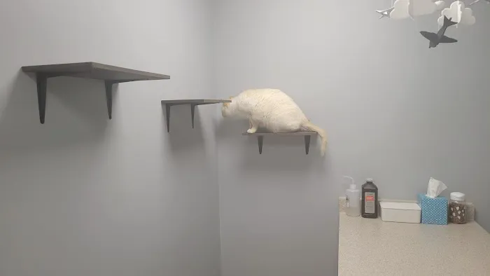 Pleasant Ridge Pet Hospital Picture 6